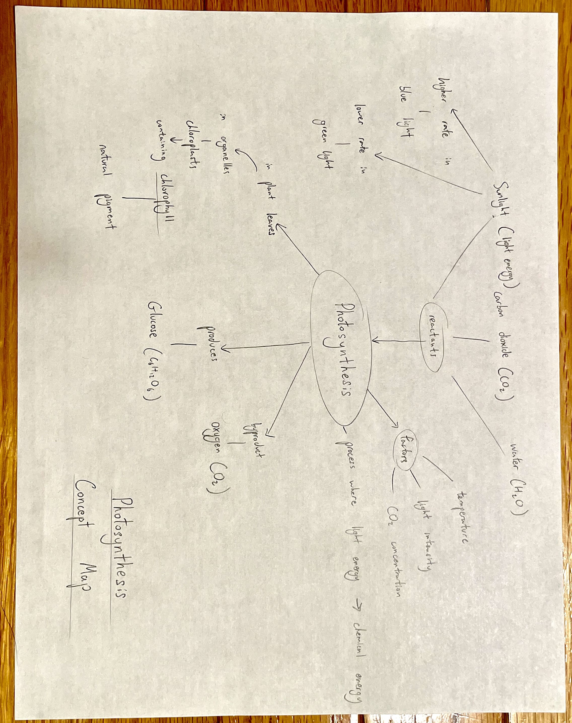 Photosynthesis concept map example